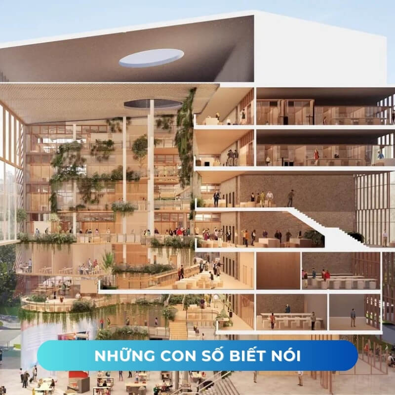 nhung con so biet noi tai dai hoc griffith